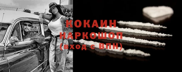 амф Ладушкин