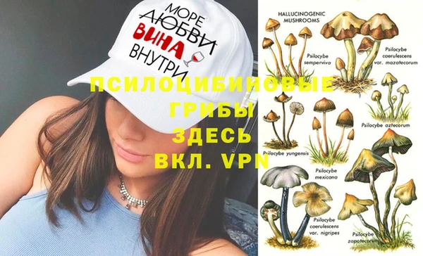 Альфа ПВП Верхнеуральск
