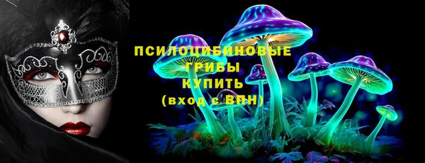 индика Лабытнанги