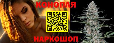 спиды Краснодар