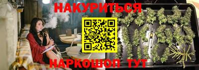 сатива Краснознаменск
