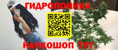 сатива Краснознаменск