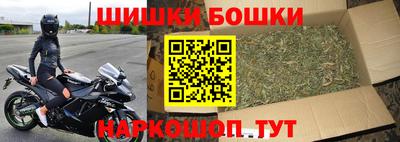 сатива Краснознаменск