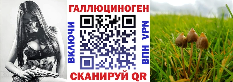 Псилоцибиновые грибы GOLDEN TEACHER  Мончегорск 