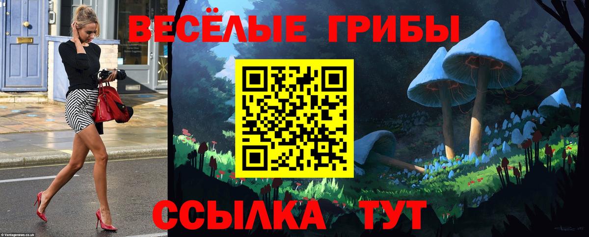 Галлюциногенные грибы GOLDEN TEACHER Мончегорск
