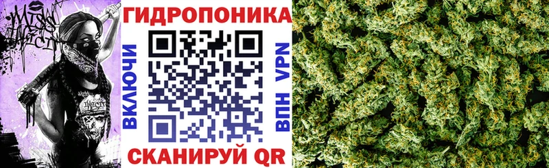 Марихуана гибрид  Мончегорск 